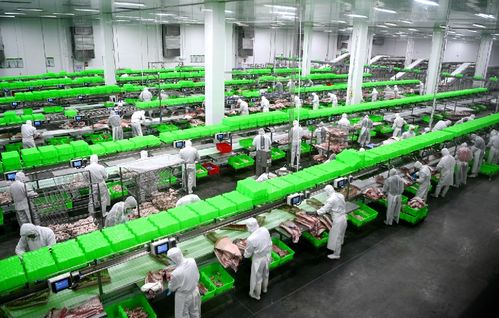 2020，南陽(yáng)城鄉(xiāng)巨變 三起來(lái)戰(zhàn)略如何勁推城市出新出彩